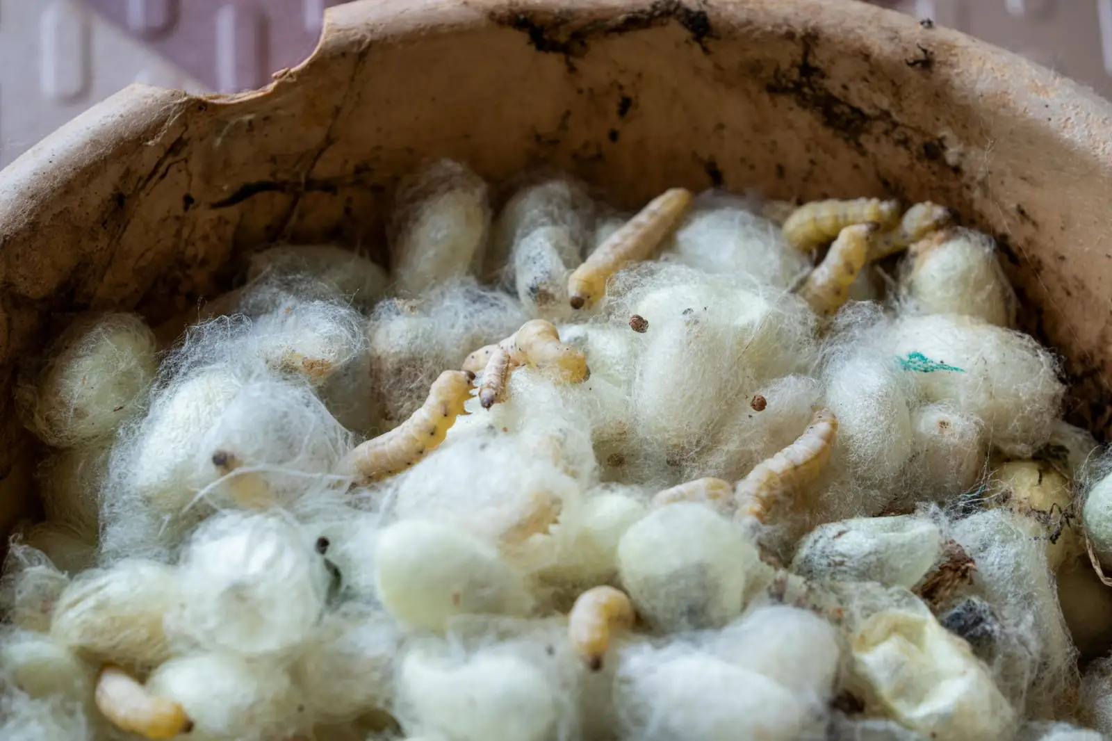 广告物料定制选购指南:从材质到工艺的对比分析