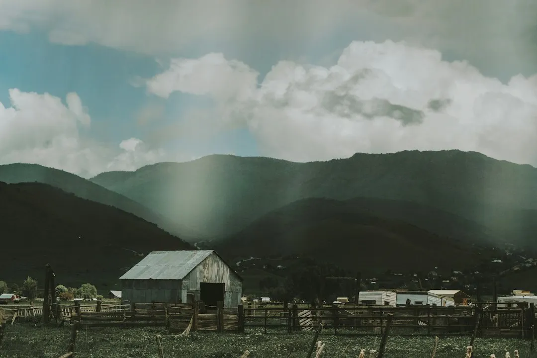 湖北广告制作选型指南:喷绘写真与标识标牌材质对比分析